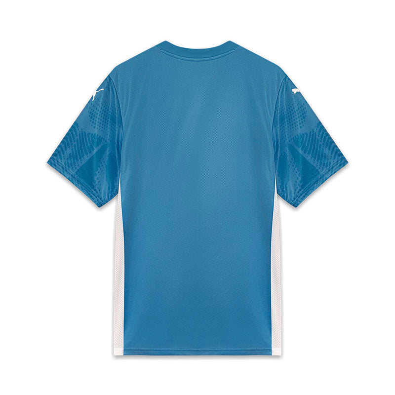 Camisa Palmeiras Puma I Goleiro 25/26 Jogador