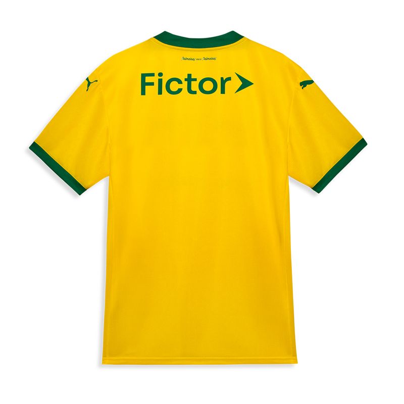 Camisa Palmeiras Puma III 25/26 Torcedor