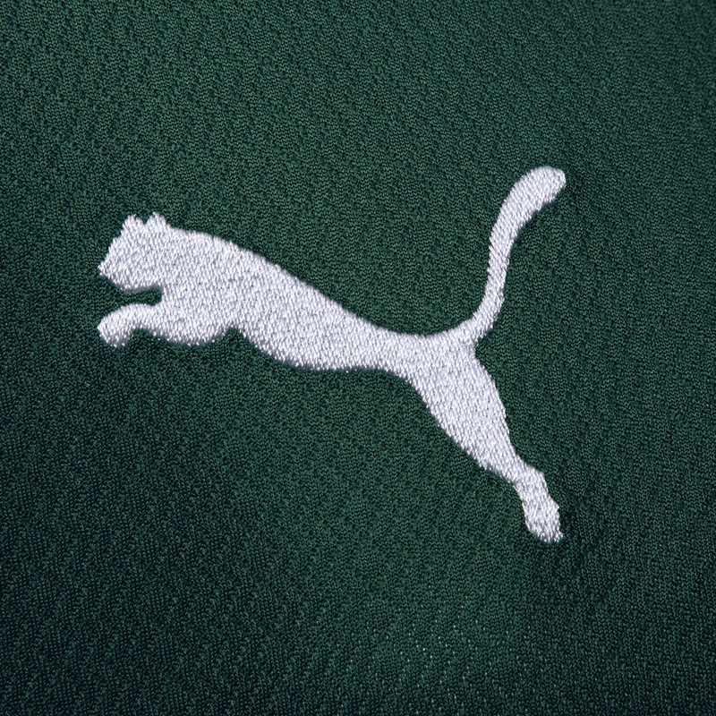 Camisa Palmeiras Puma I 22/23
