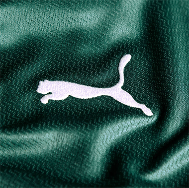 Camisa I Palmeiras 2022/23