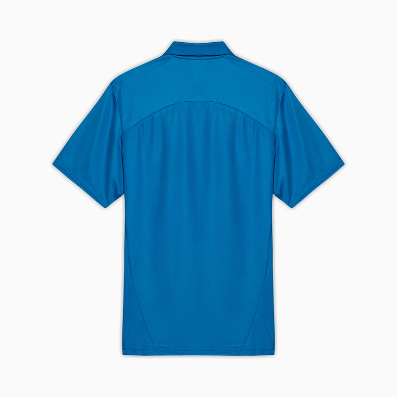 Camisa Polo Palmeiras Treino 2025