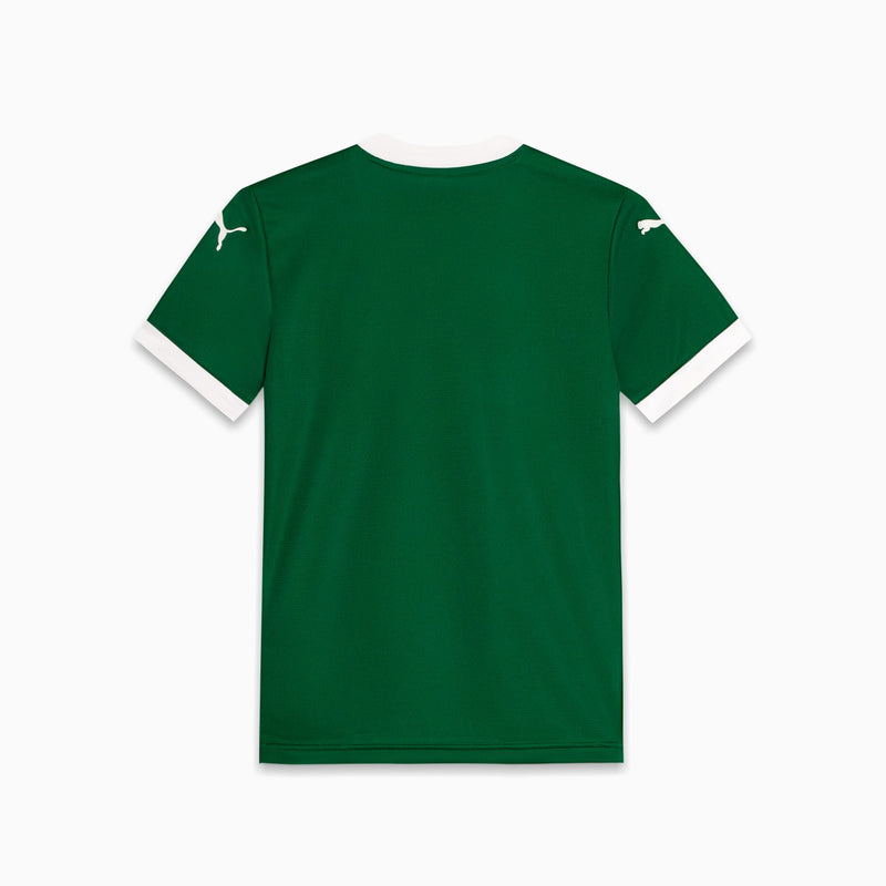 Camisa Palmeiras Torcedor HOME 2025 Juvenil